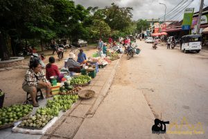 street food market siem reap cambodia